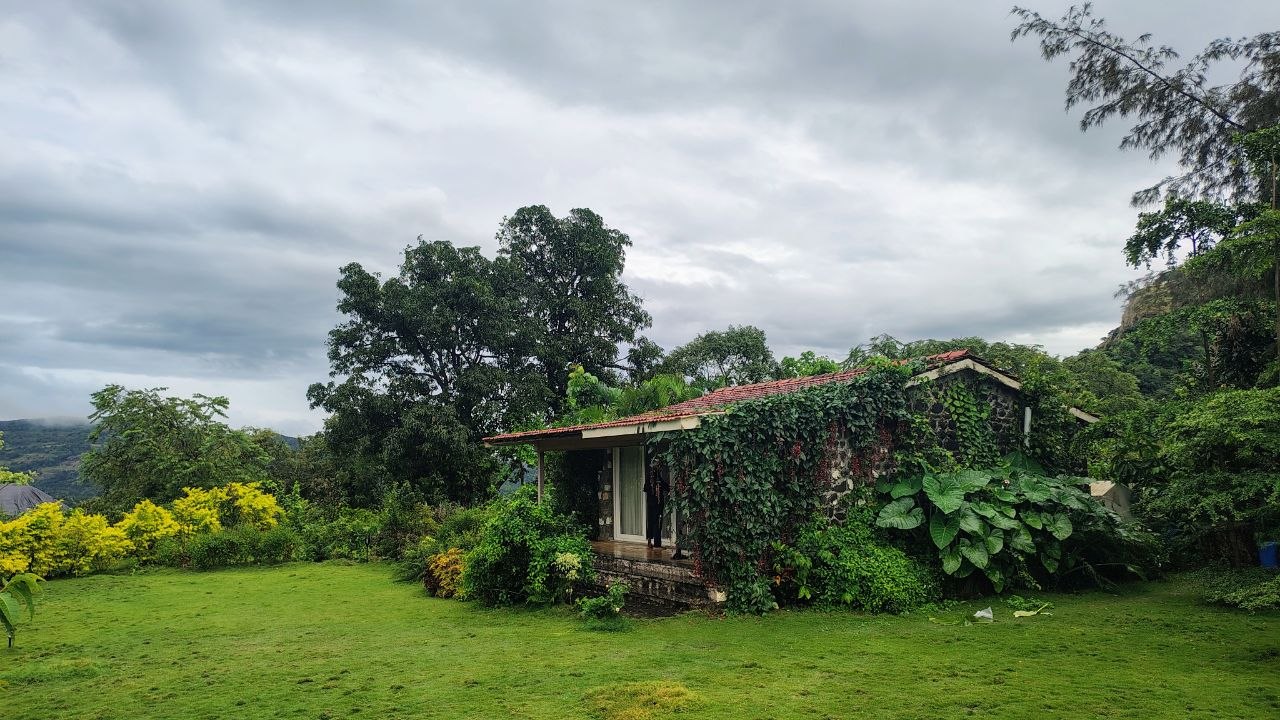 Garden flowers Moonstone Cottage Kamshet