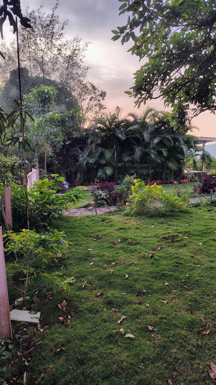 Night sky stargazing Kamshet Moonstone Cottage