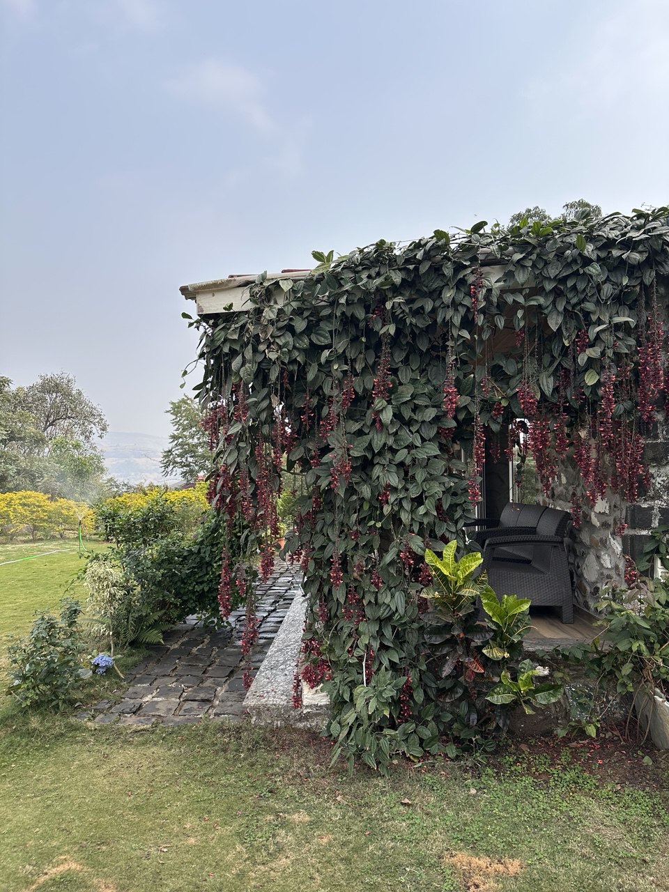 Forest trail nearby Moonstone Cottage Kamshet