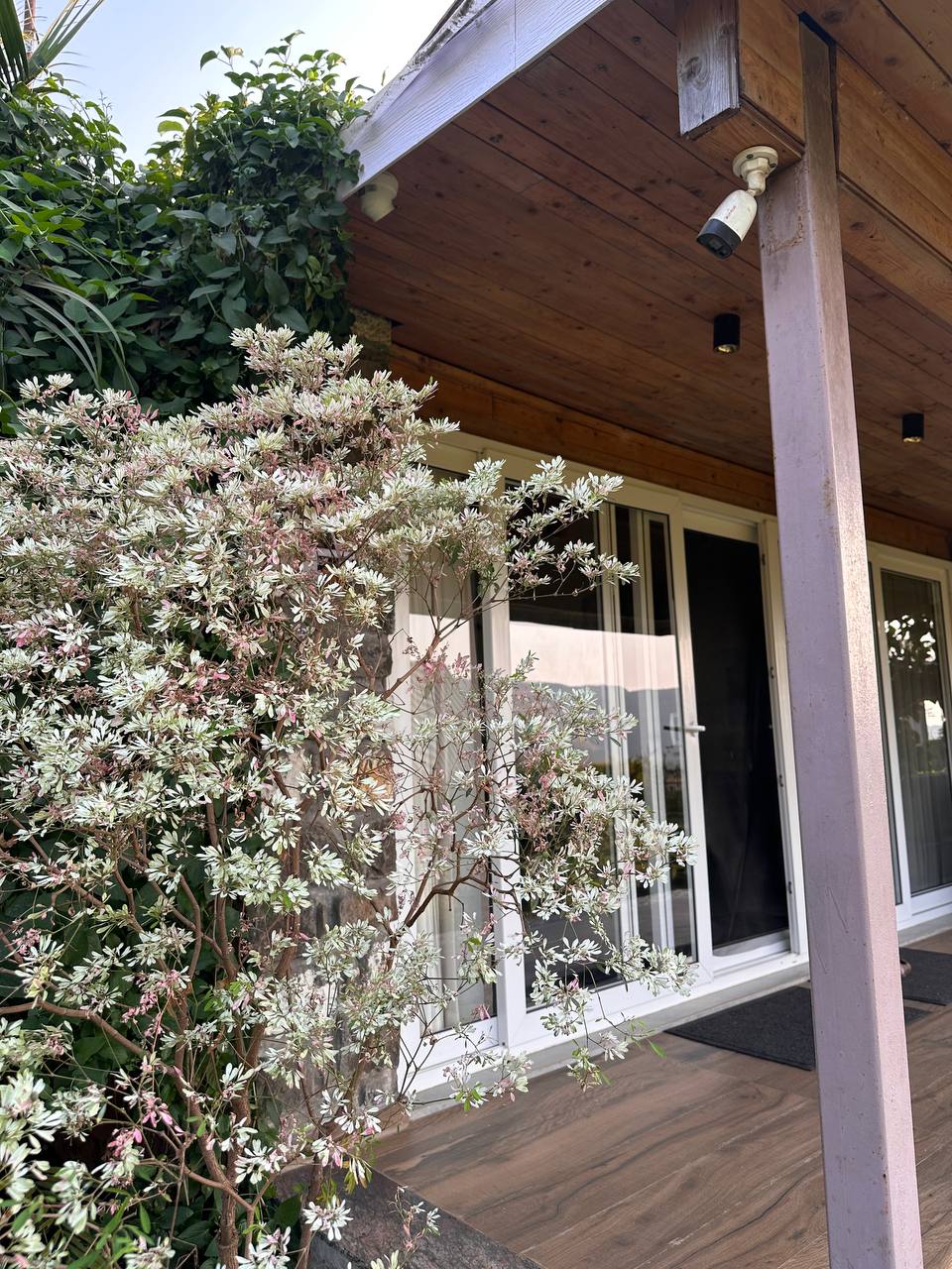 Private terrace garden Moonstone Cottage Kamshet